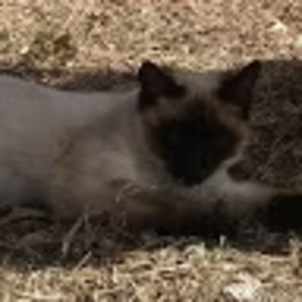 Meet your Posher, Zaylyn